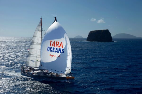 Tara Ocean, bateau à voile, océan